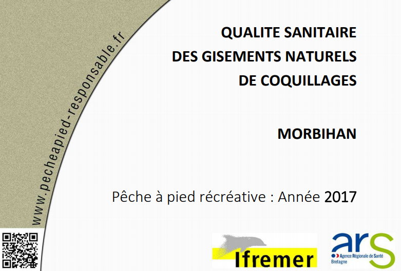 Qualité sanitaire des gisements naturels de coquillages – Morbihan, édition 2017
