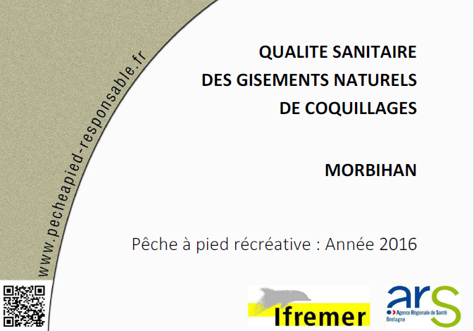 Qualité sanitaire des gisements naturels de coquillages – Morbihan, édition 2016