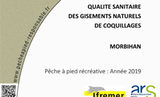Couverture rapport Qualité sanitaire des gisements naturels de coquillages - Morbohan, édition 2019