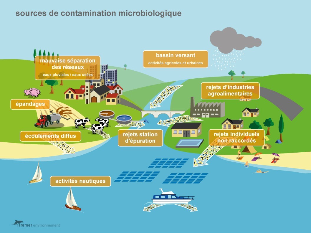 Schéma contamination