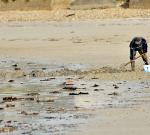 UNE_colloque Erquy pêche à pied - novembre 2019