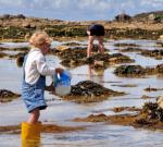 Pêche à pied de loisirs