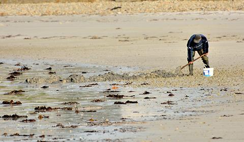 UNE_colloque Erquy pêche à pied - novembre 2019