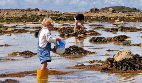 Pêche à pied de loisirs