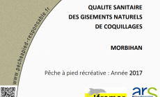 Qualité sanitaire des gisements naturels de coquillages – Morbihan, édition 2017