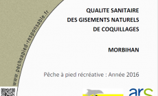 Qualité sanitaire des gisements naturels de coquillages – Morbihan, édition 2016