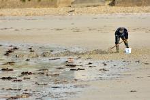 UNE_colloque Erquy pêche à pied - novembre 2019